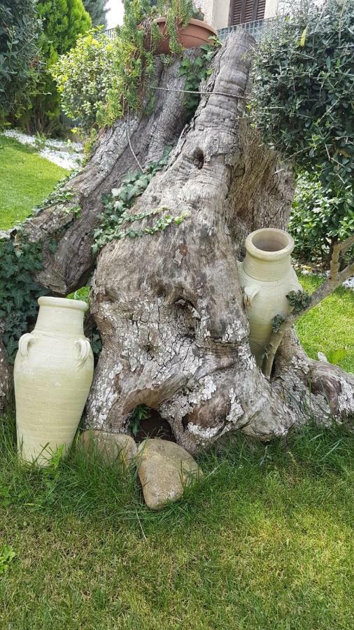 Villa Barone Selva Di Fasano Eksteriør billede